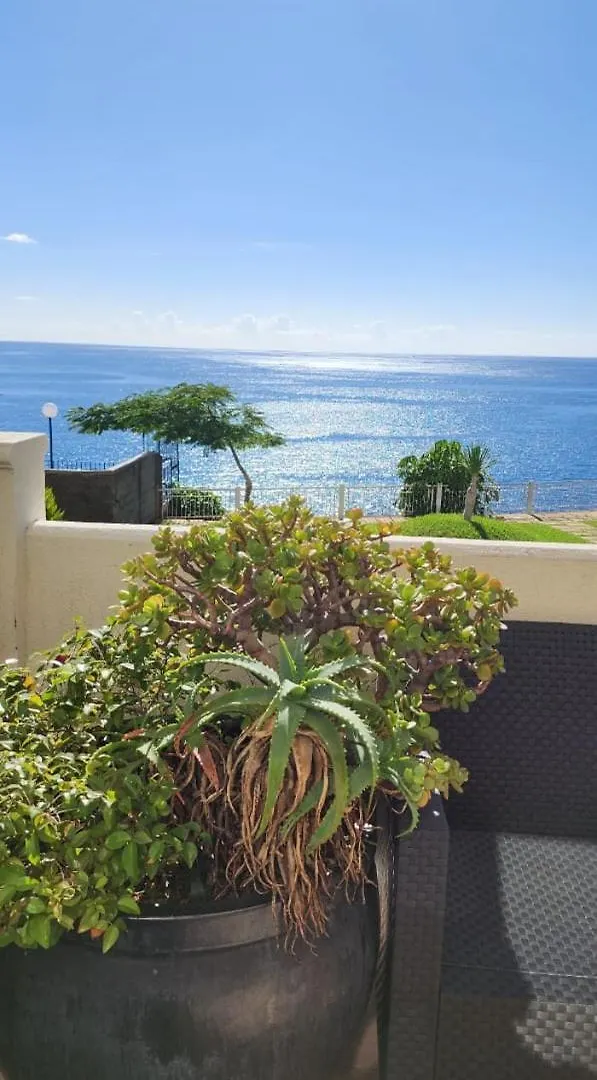 Ocean View Apartment Funchal   Funchal (Madeira)